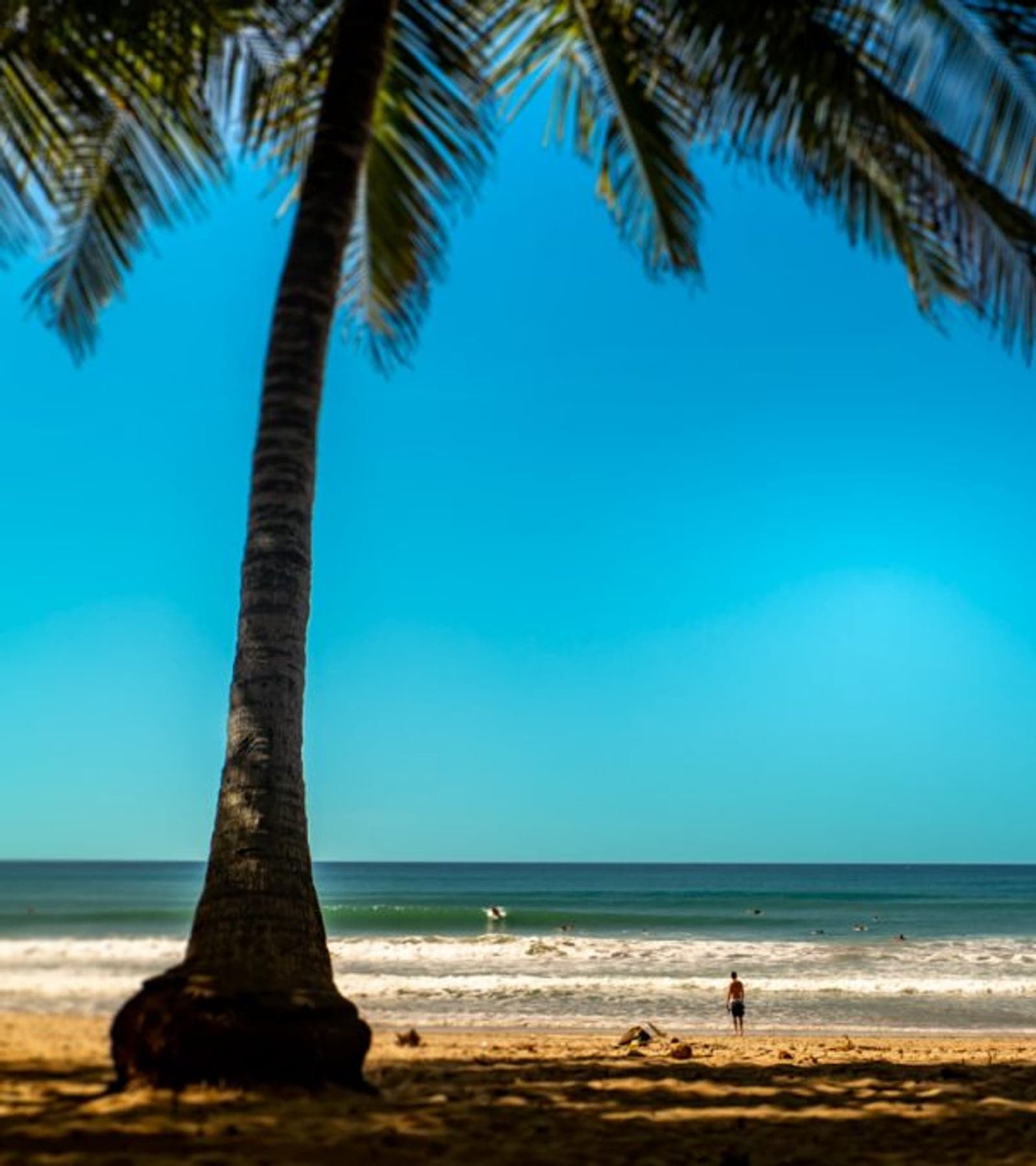 Dry season at Playa Santa Teresa, with palm tree silhouette, bright blue sky, deserted beach