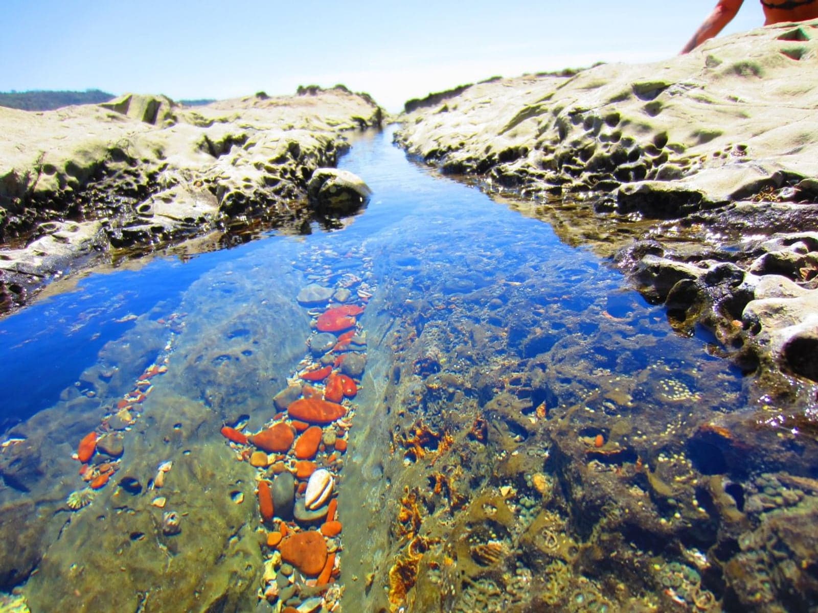 Mal País Tide Pools — Low tide · water shoes · free