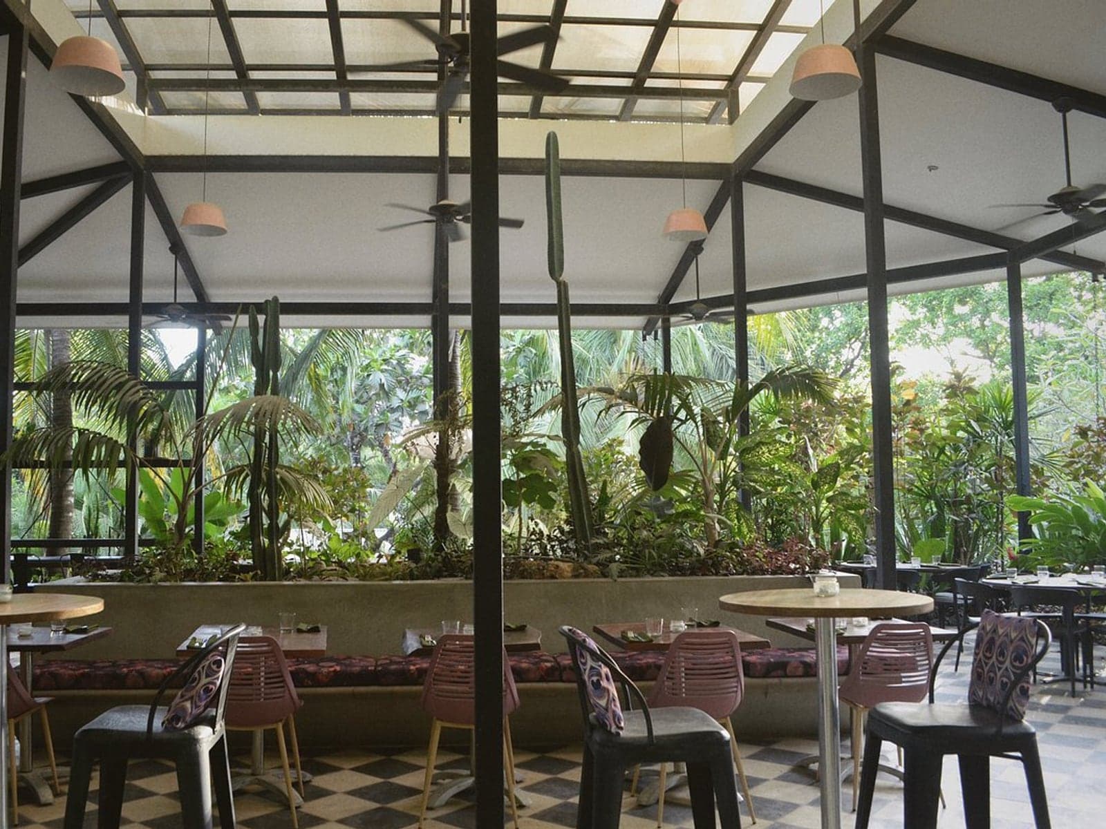 Corazon — Plant-forward · garden setting