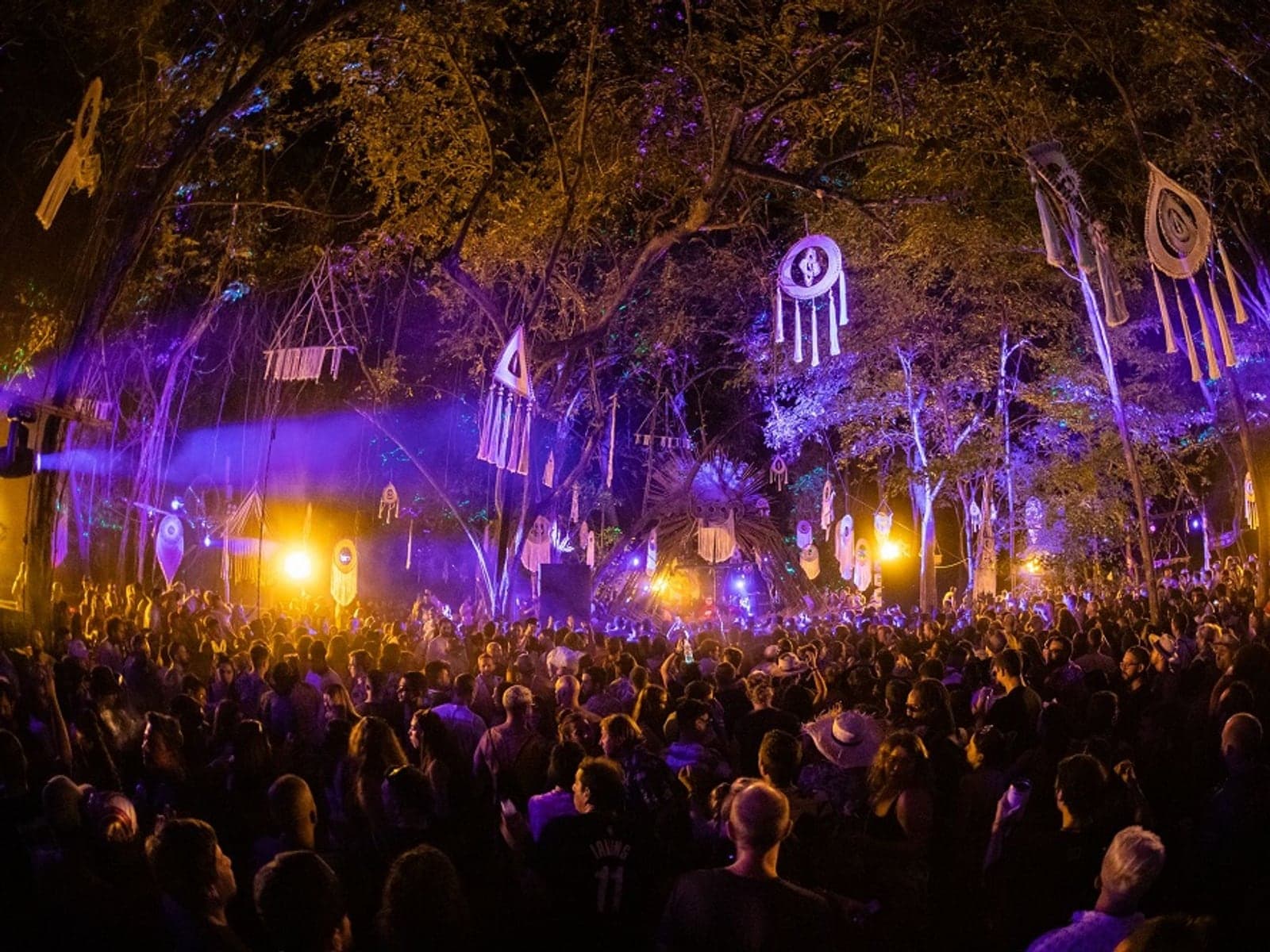 @333wonderland333 — Jungle parties · find them on Instagram