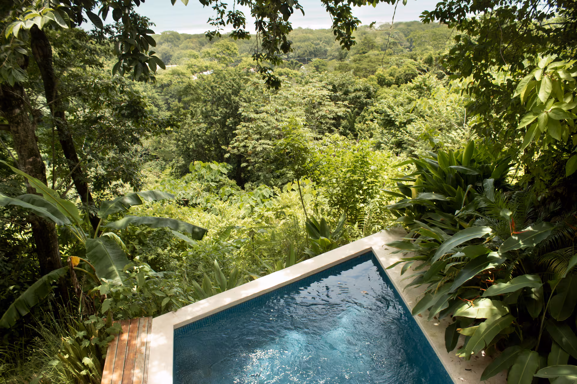 Casa Calyx from the air, pool deck and jungle canopy