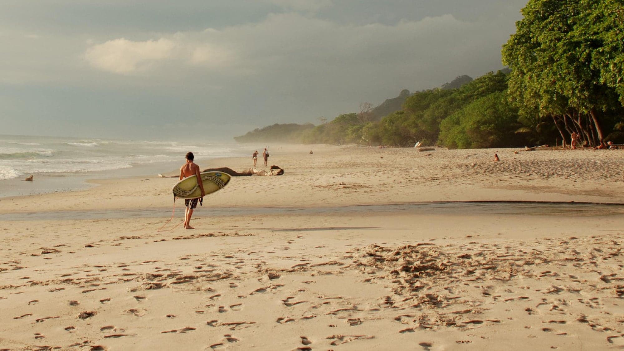 Surfer walking the beach at sunset